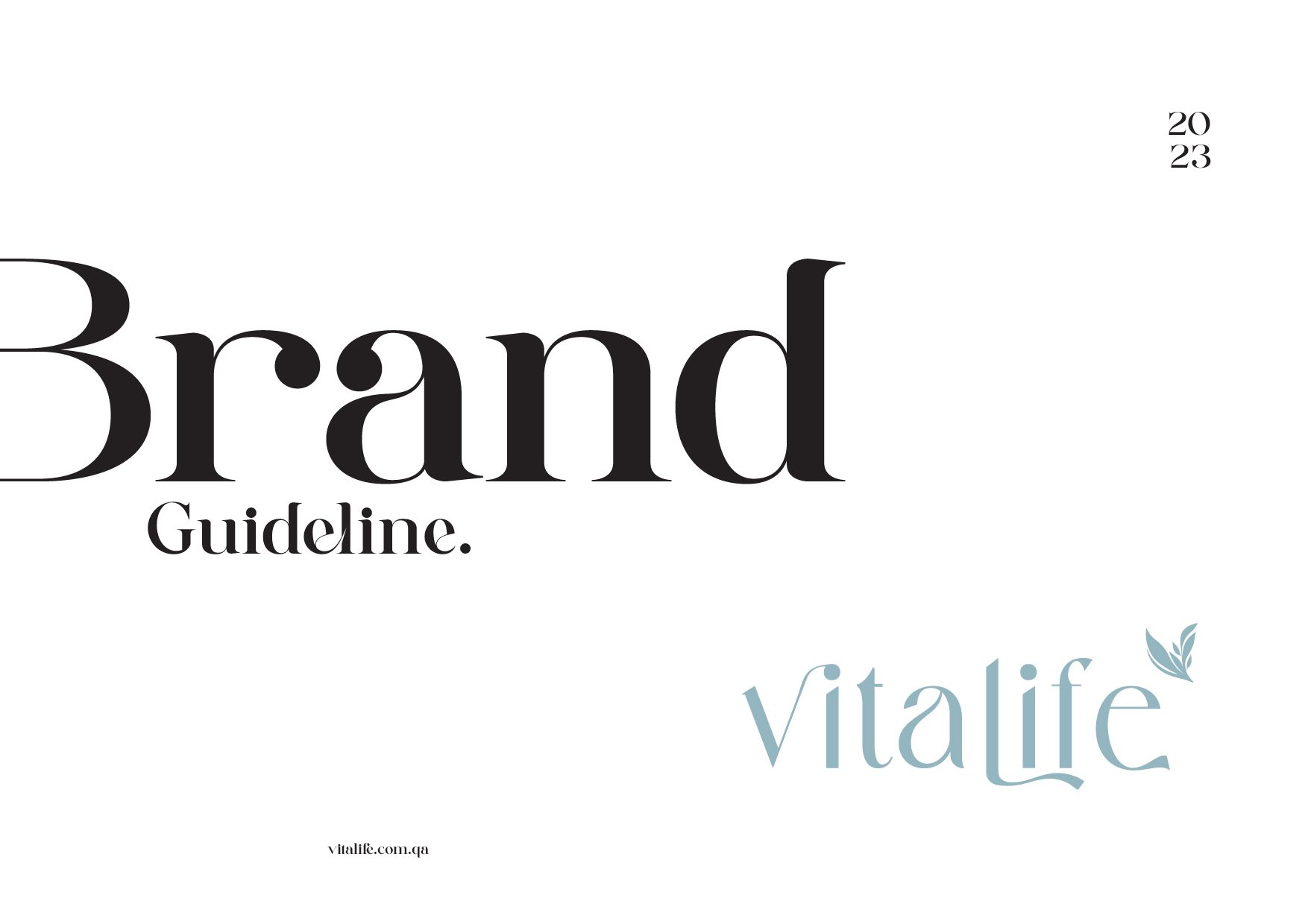 VitaLife Brand Identity 1